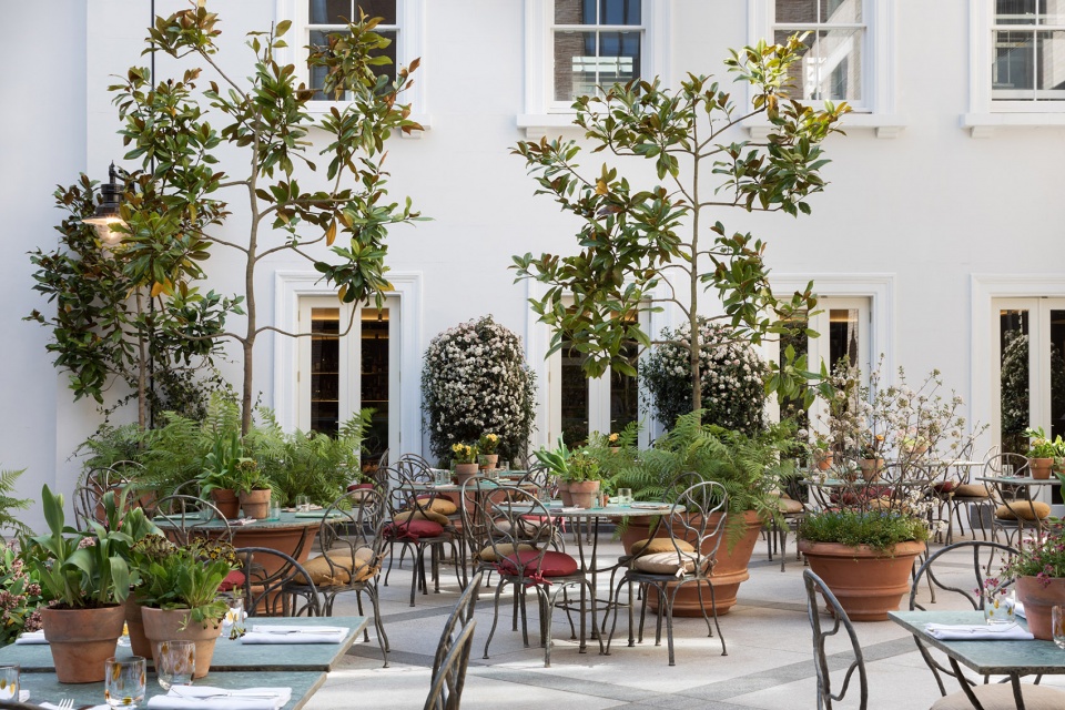 floral court by kpf