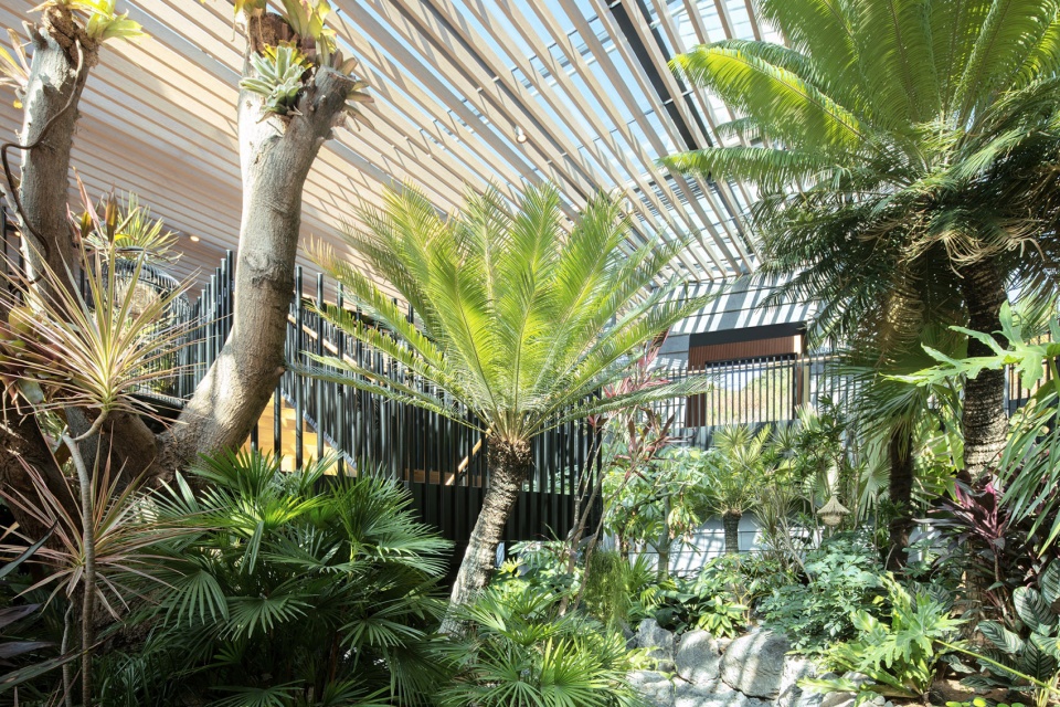forest valley hot spring center china by blue architecture studio