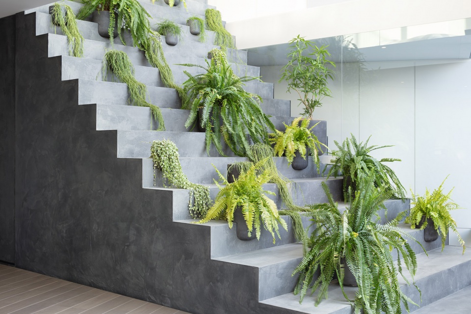 stairway house by nendo