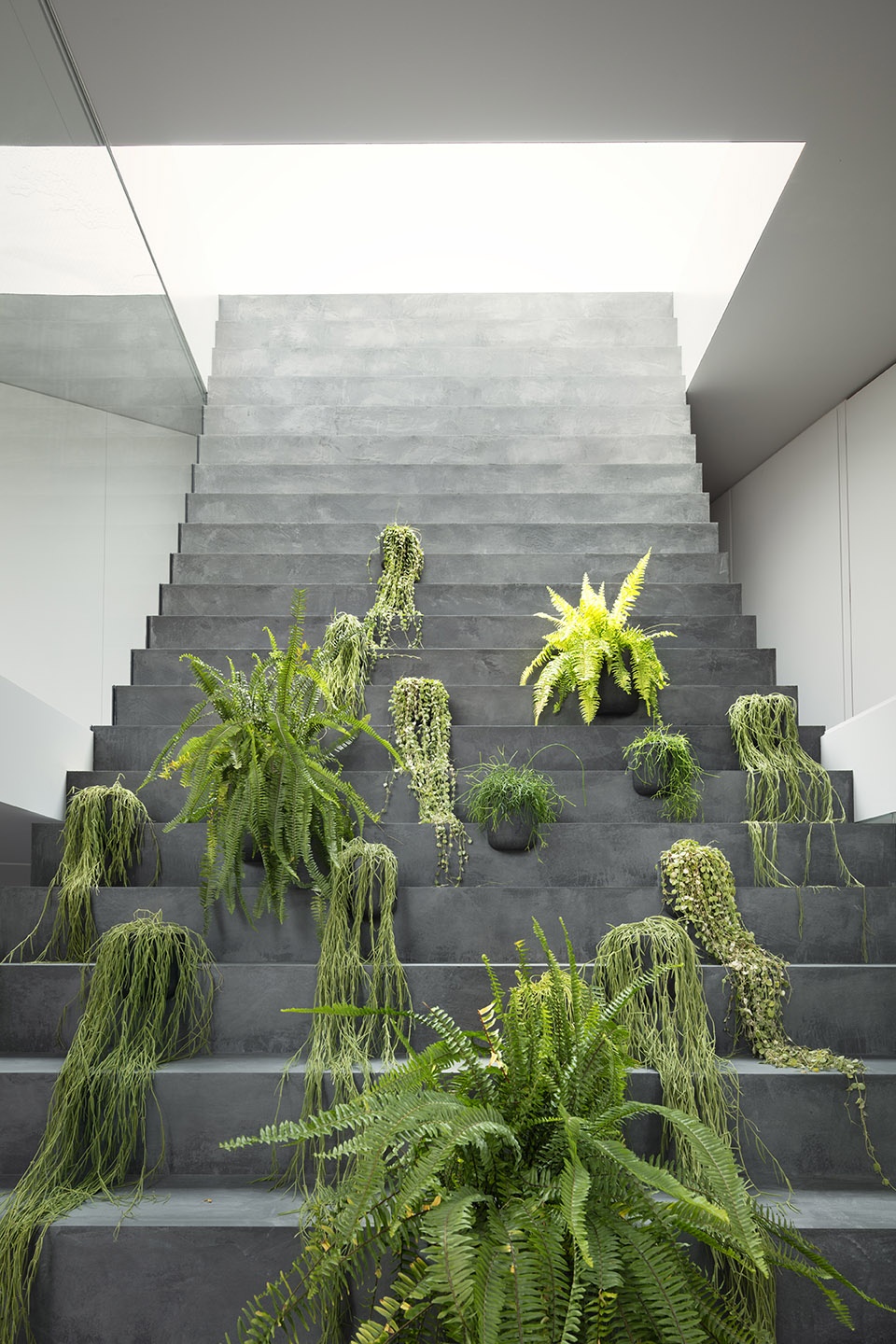 stairway house by nendo