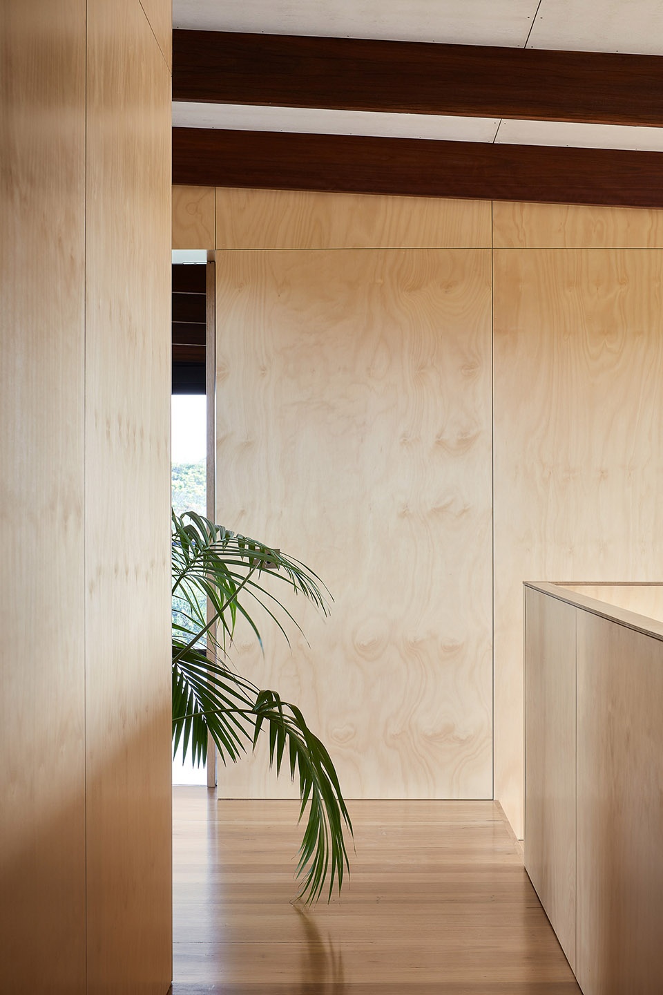 green velvet house by peter winkler architects