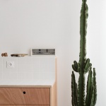 BDD公寓，巴黎 / Jean Benoît Vétillard Architecture