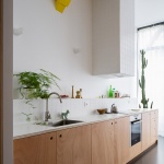 BDD公寓，巴黎 / Jean Benoît Vétillard Architecture