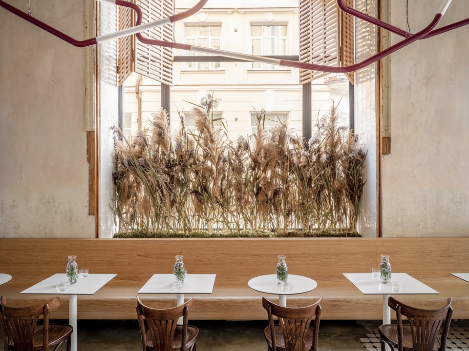 grechka lab bakery by veter design architecture