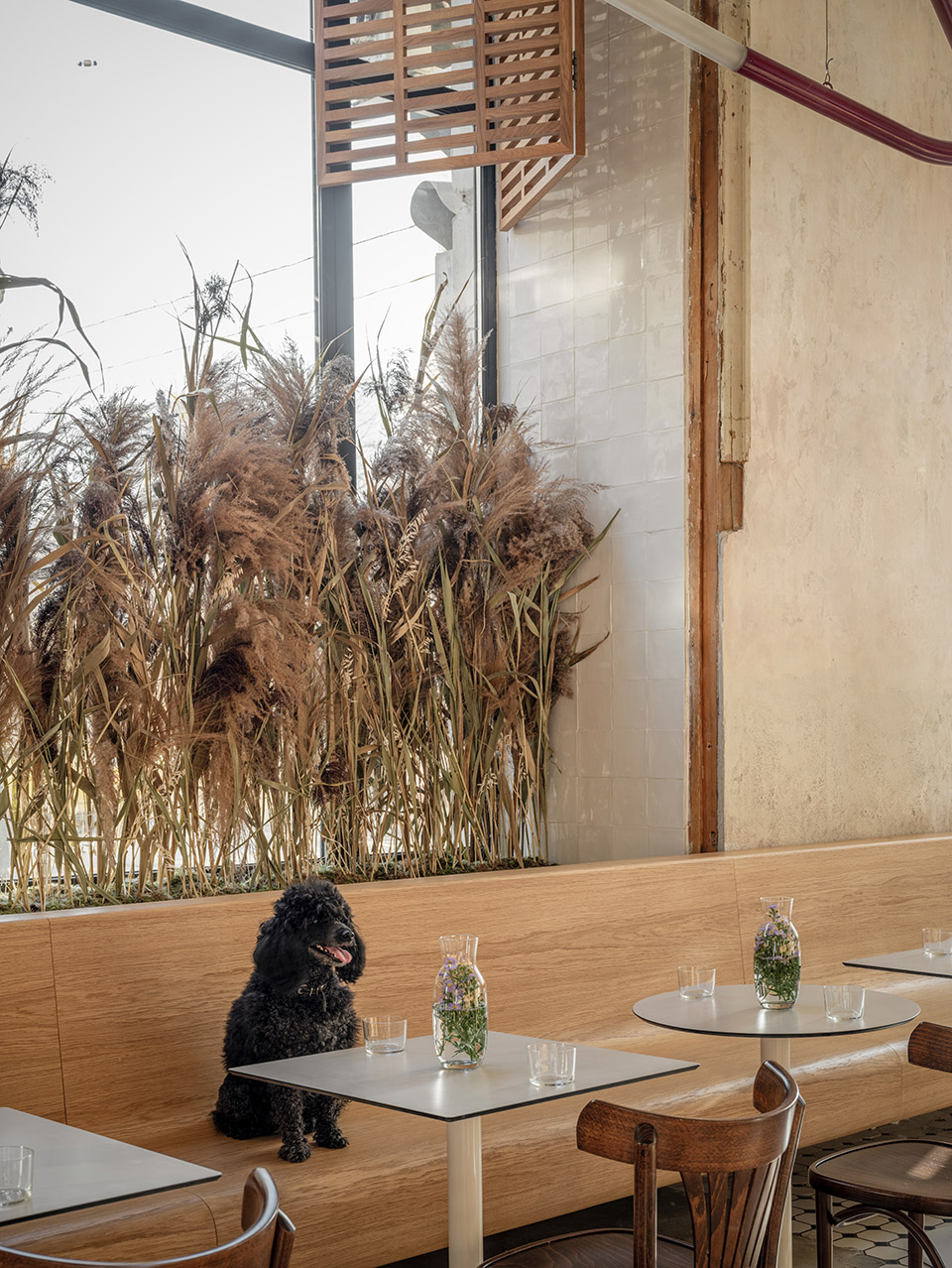 Veter Design Grechka lab bakery by Veter Design & Architecture - 谷德设计网