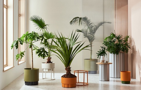 Lotus花盆系列 / Kun Design