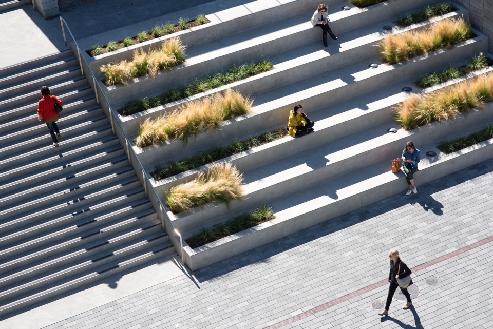 waller park by msla