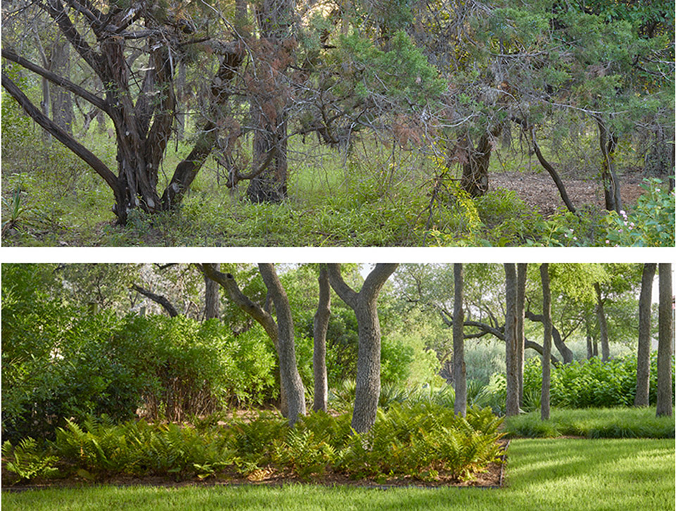 2019 asla residential design award of honor plainsprairieplateau a retreat at the edge by carbo landscape architecture