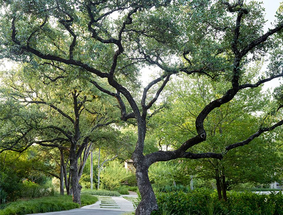 2019 asla residential design award of honor plainsprairieplateau a retreat at the edge by carbo landscape architecture