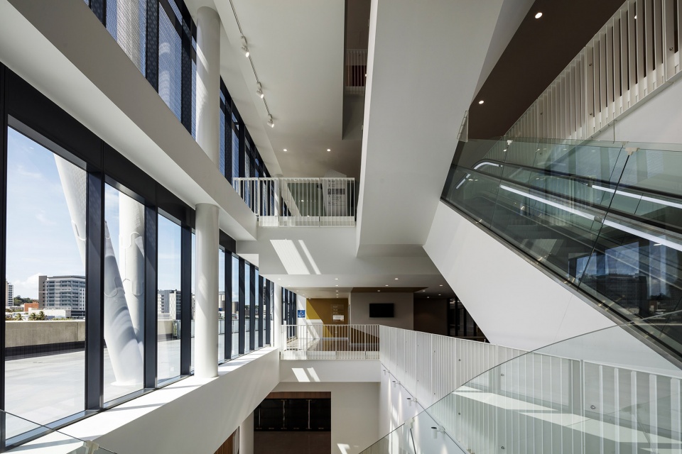 queensland country bank stadium by cox architecture