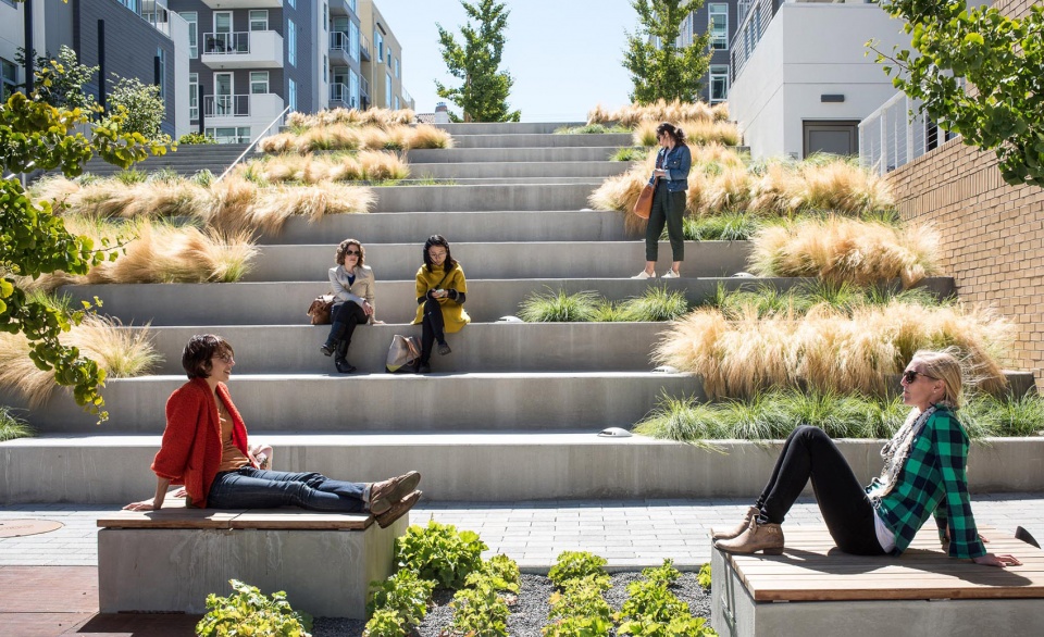 waller park by msla