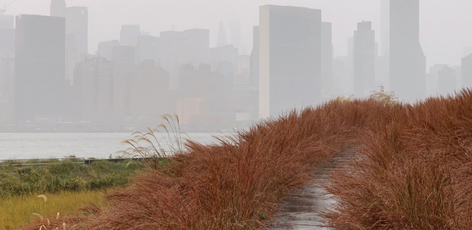 2019 asla general design award of honor hunters point south waterfront park phase ii by swabalsley and weissmanfredi with arup