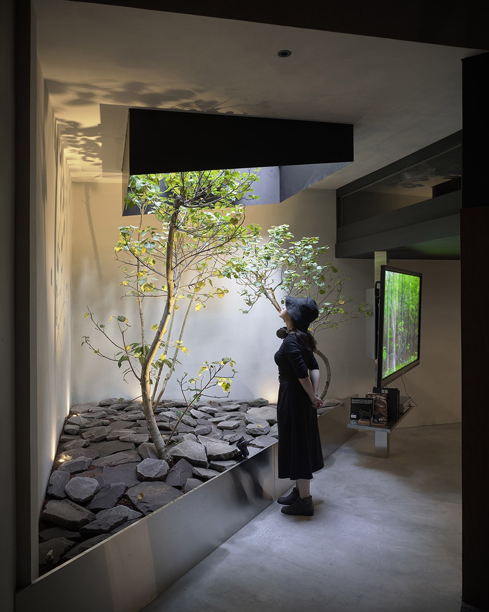 45 degrees by jc architecture