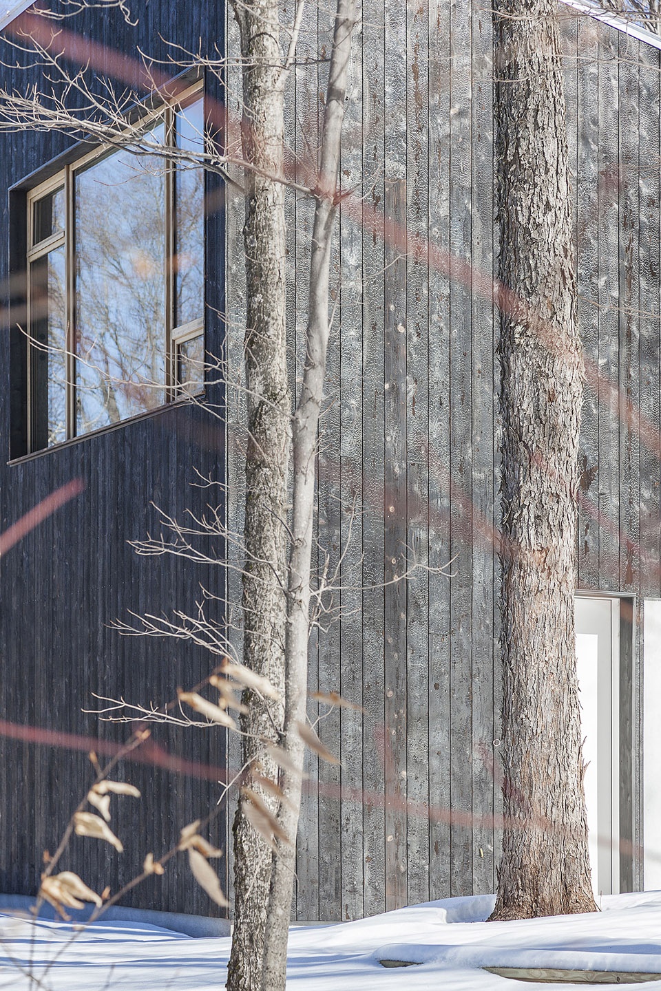 camp o house studio by maria milans studio