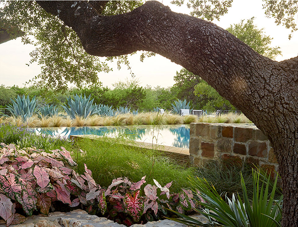 2019 asla residential design award of honor plainsprairieplateau a retreat at the edge by carbo landscape architecture