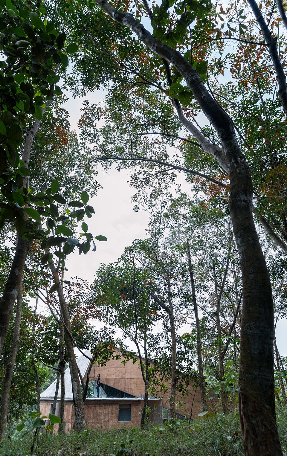 shikhara house by wallmakers