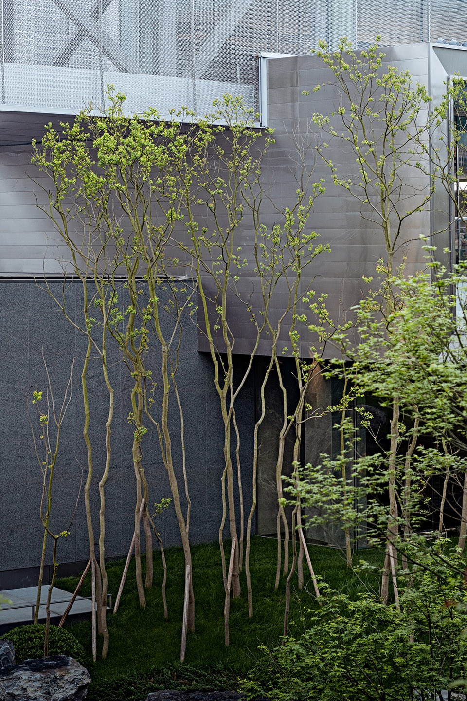 waterfront park of chongqing cultural tourism town china by change studio