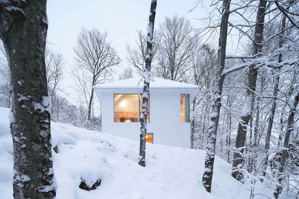 poisson blanc by naturehumaine