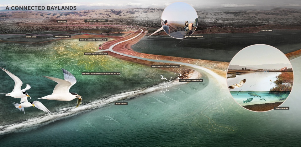 2019 asla analysis and planning award of honor public sediment for alameda creek by scape