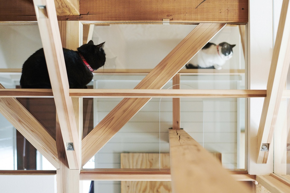 the anti earthquake reinforcing catwalk house by hitotomori architects