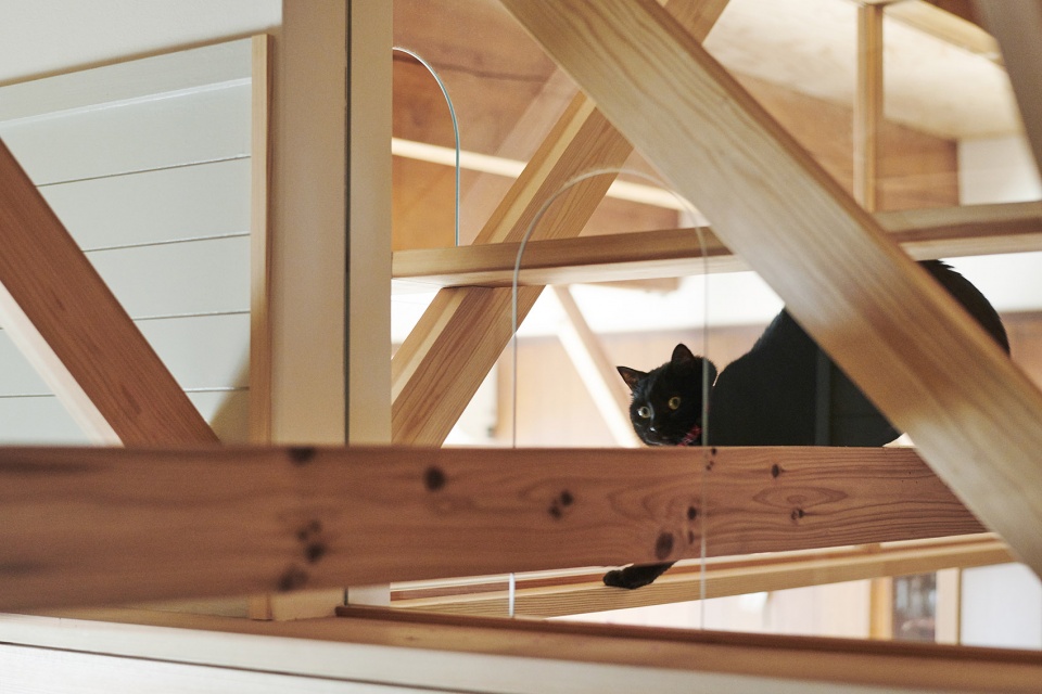 the anti earthquake reinforcing catwalk house by hitotomori architects