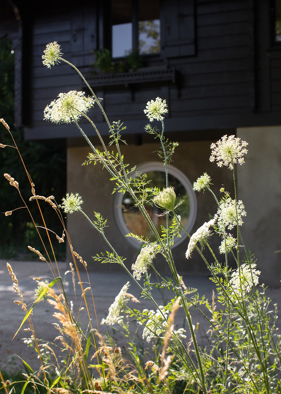 Mr. Barrett’s Garden, Geneva by BUREAU 谷德设计网