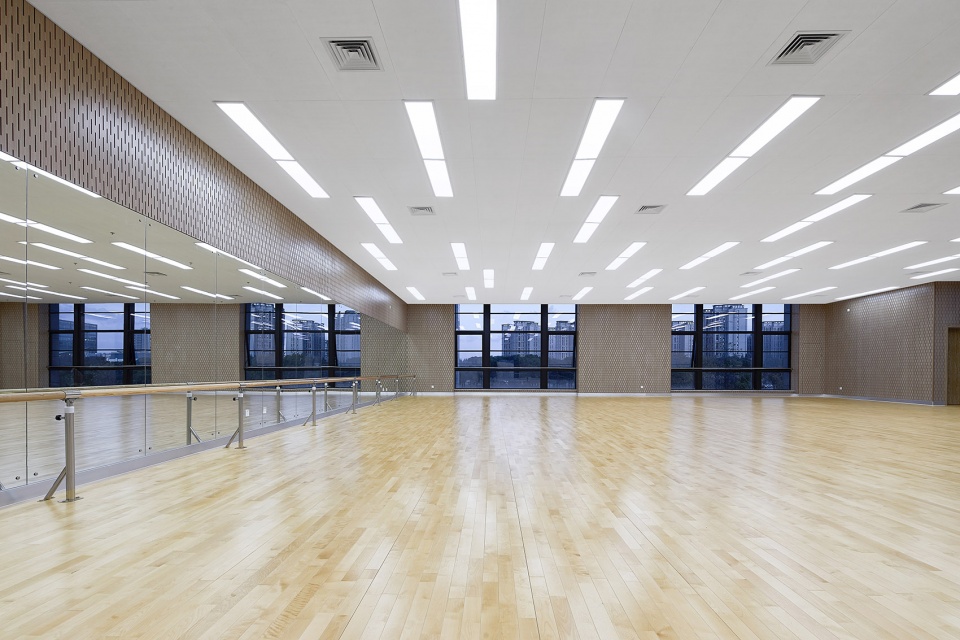 New Comprehensive Gymnasium in Fudan Jiangwan Campus TJAD