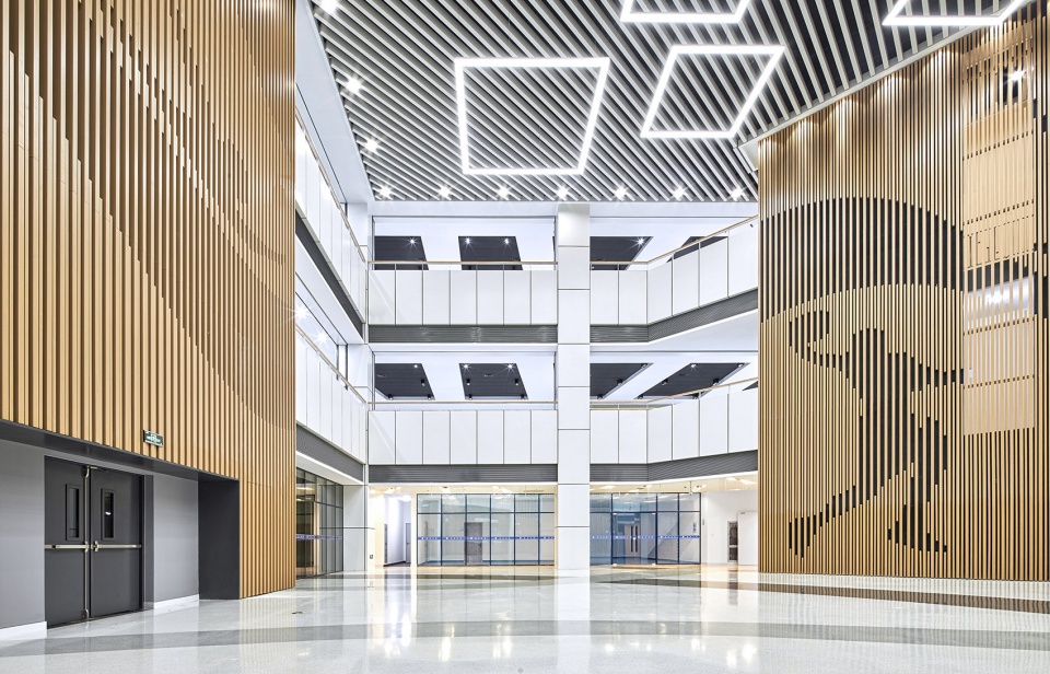 New Comprehensive Gymnasium in Fudan Jiangwan Campus TJAD