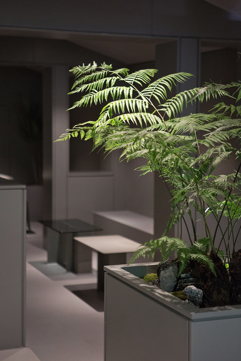 LaiHui Coffee anson design