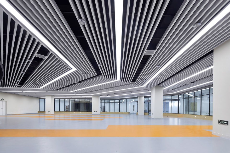 New Comprehensive Gymnasium in Fudan Jiangwan Campus TJAD