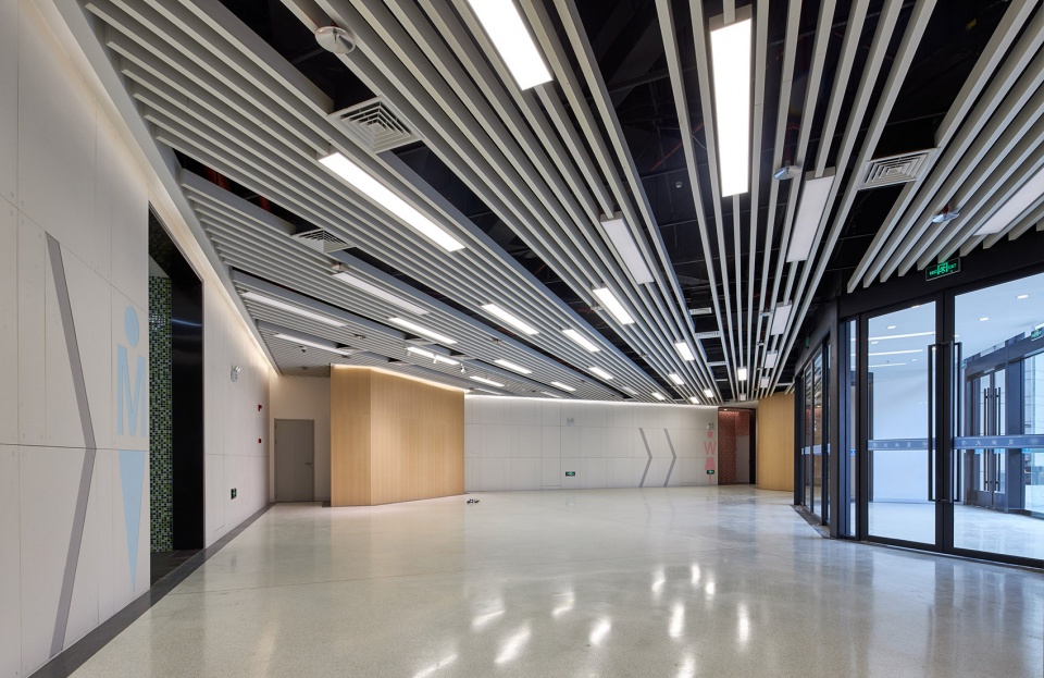 New Comprehensive Gymnasium in Fudan Jiangwan Campus TJAD