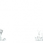 巴雷特先生的花园，日内瓦 / BUREAU
