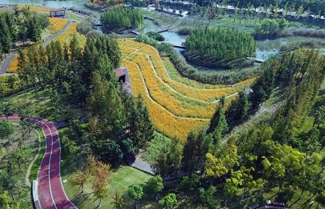 海绵绿道：宁波市东部新城生态走廊（三期） / 土人设计