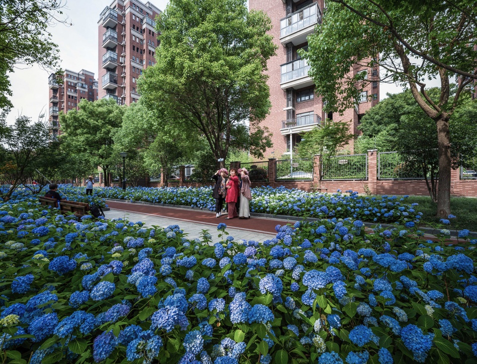 jiaxing pocket park china by igreen group