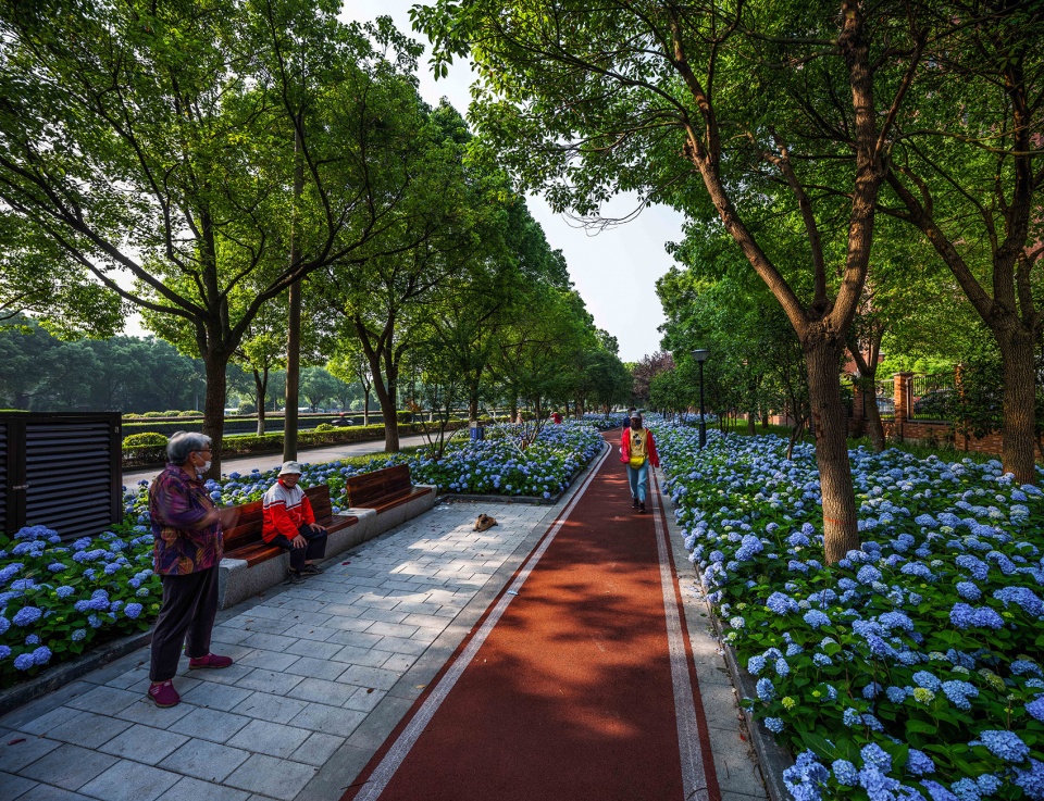 jiaxing pocket park china by igreen group