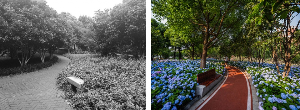 jiaxing pocket park china by igreen group
