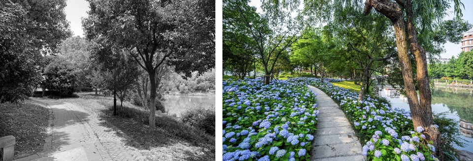 jiaxing pocket park china by igreen group