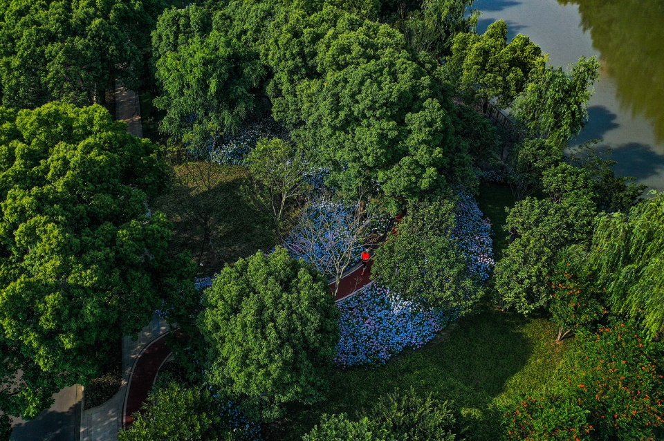 jiaxing pocket park china by igreen group