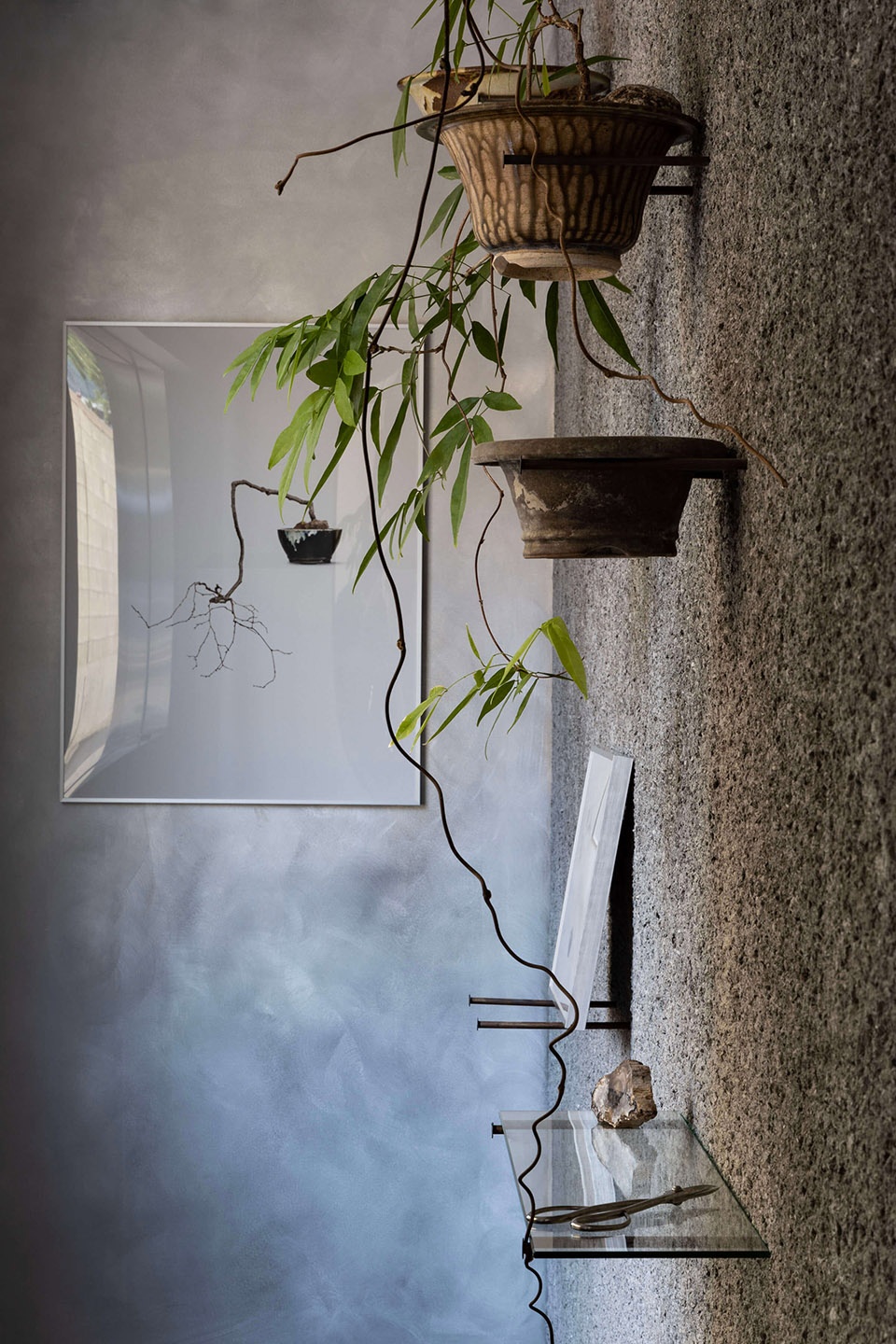 Taste of Plant Creative Studio Unravel