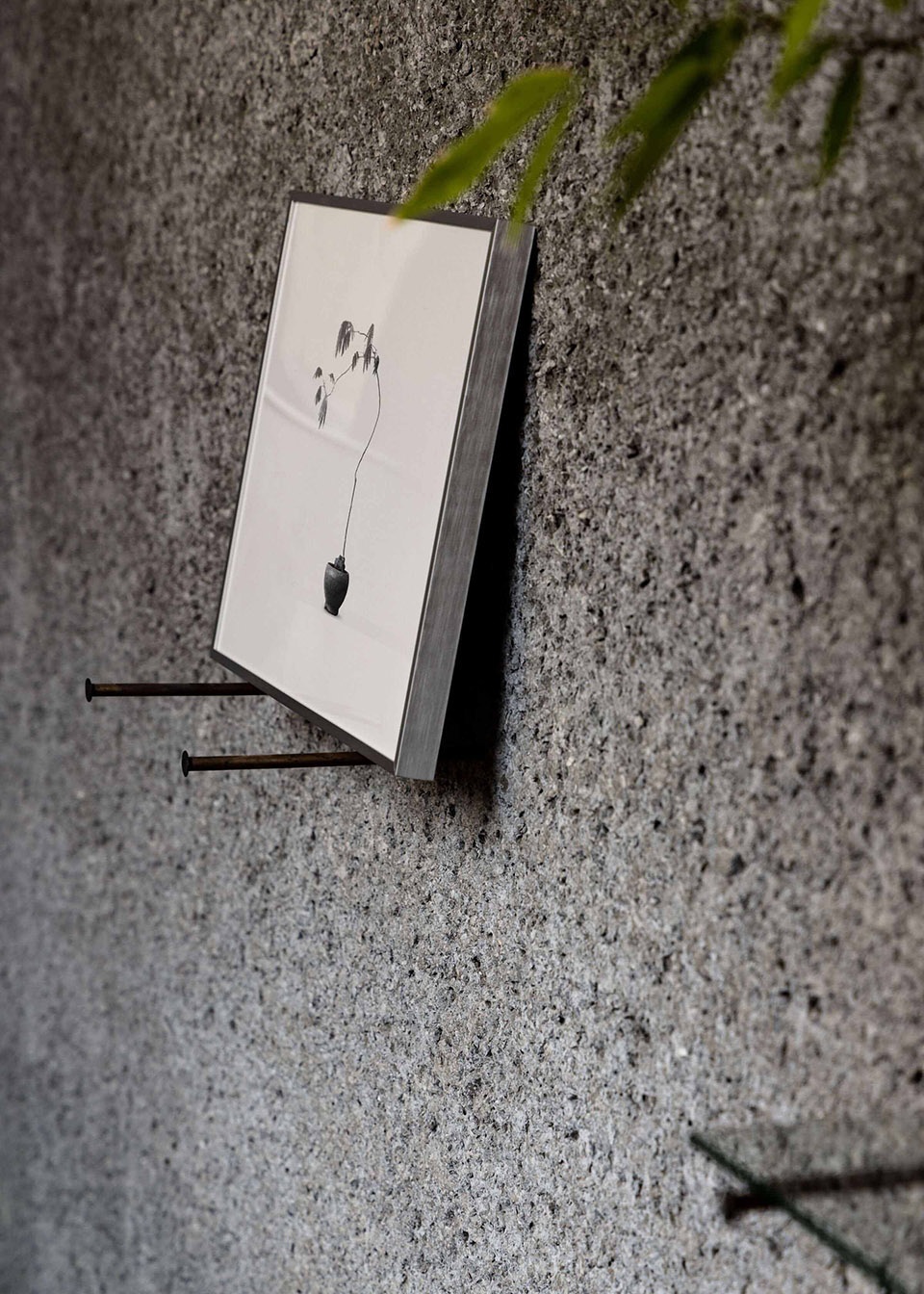 Taste of Plant Creative Studio Unravel 1
