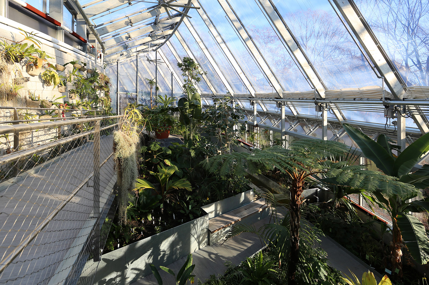 韦尔斯利global flora温室,美国 / kennedy & violich architecture