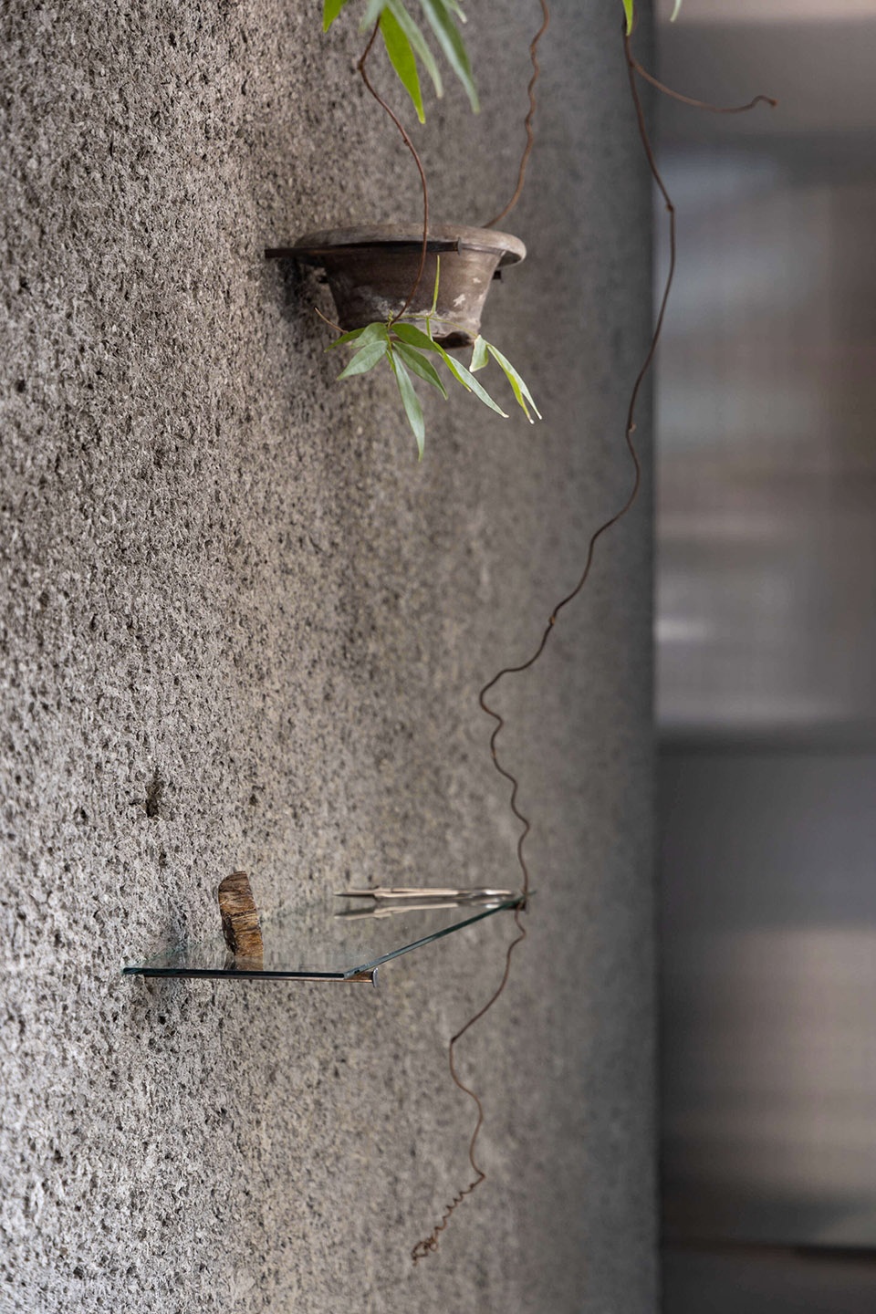 Taste of Plant Creative Studio Unravel