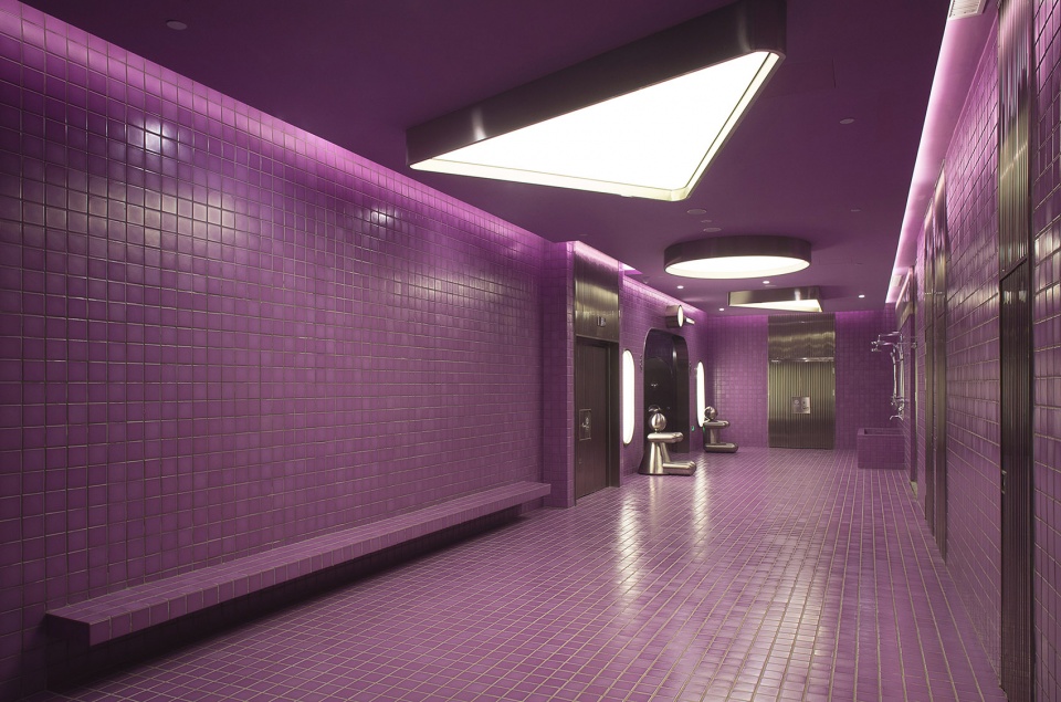 A 1450 square meter toilet PIG DESIGN
