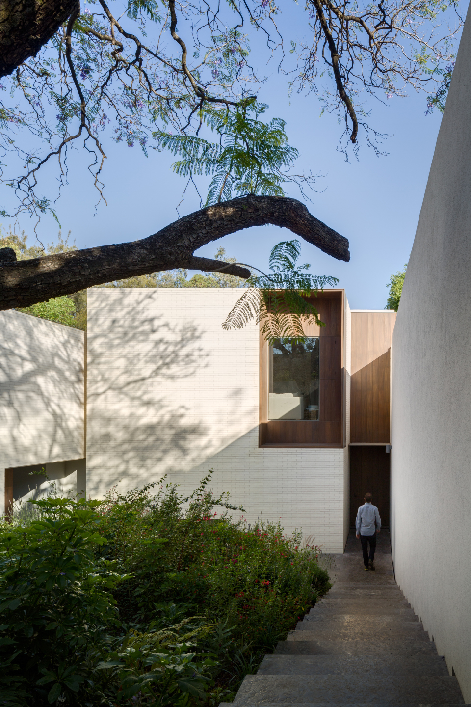 vivienda en amatepec by manuel cervantes estudio