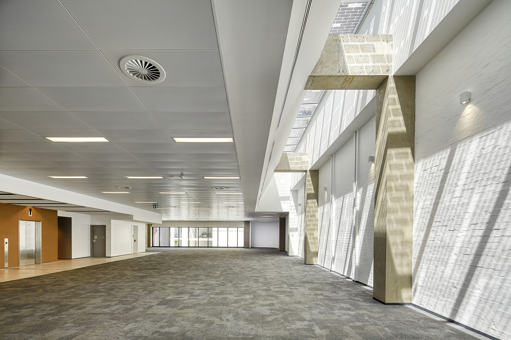 125 murray street by cox architecture