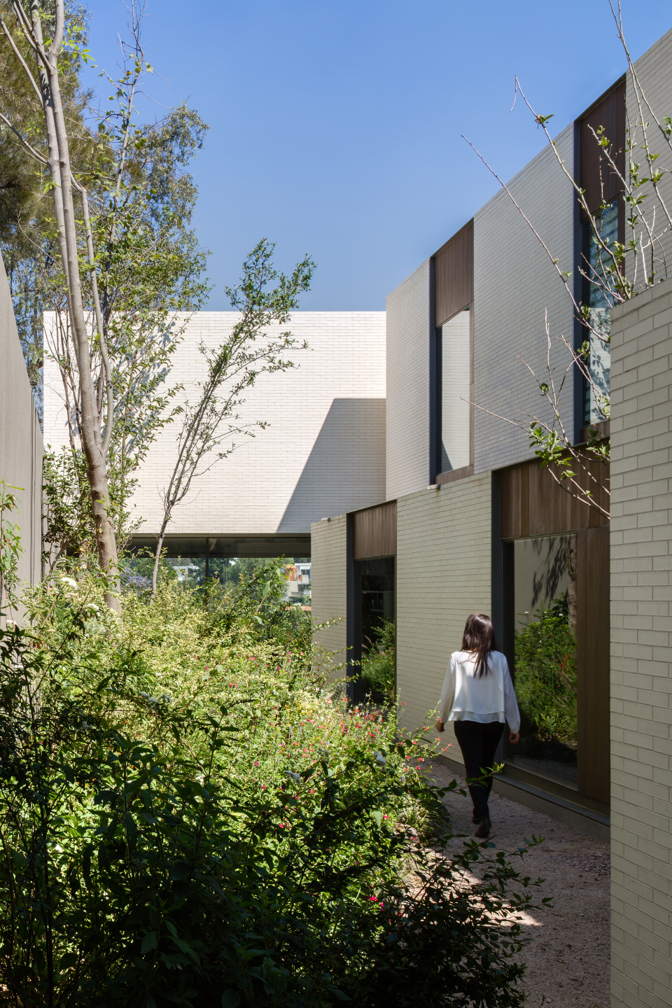 vivienda en amatepec by manuel cervantes estudio