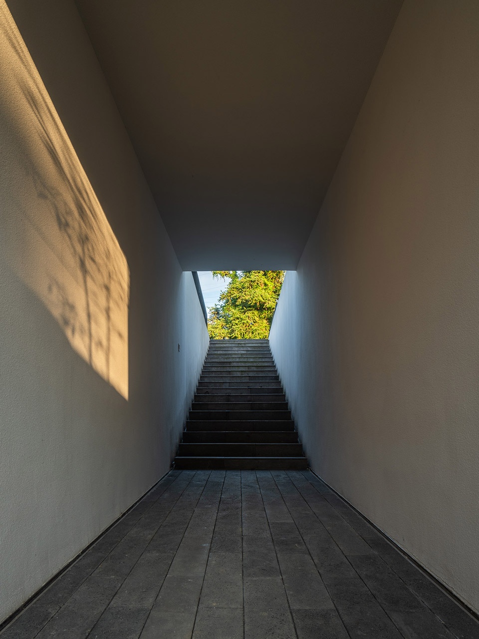 zhong house china by tungsten lighting design