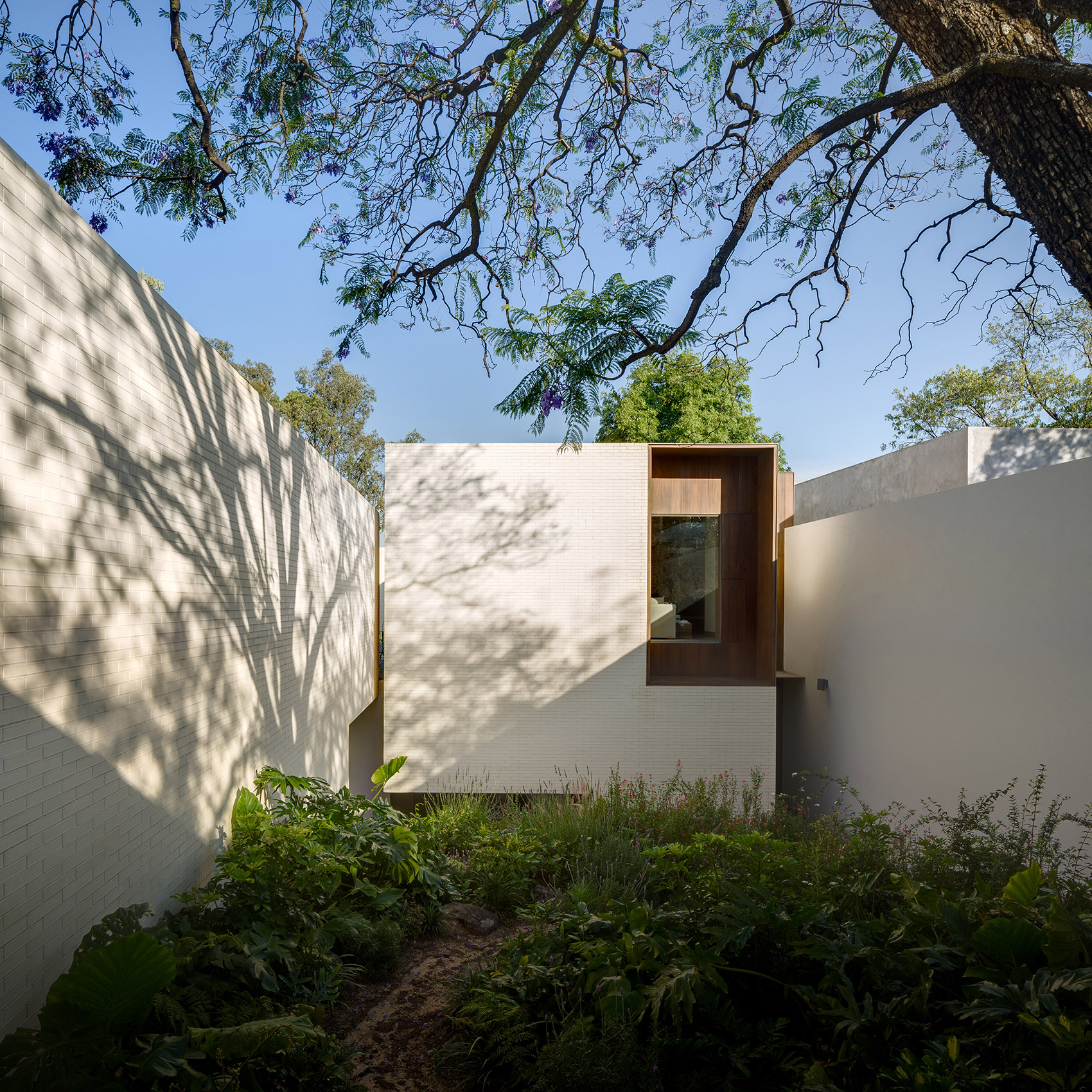 vivienda en amatepec by manuel cervantes estudio