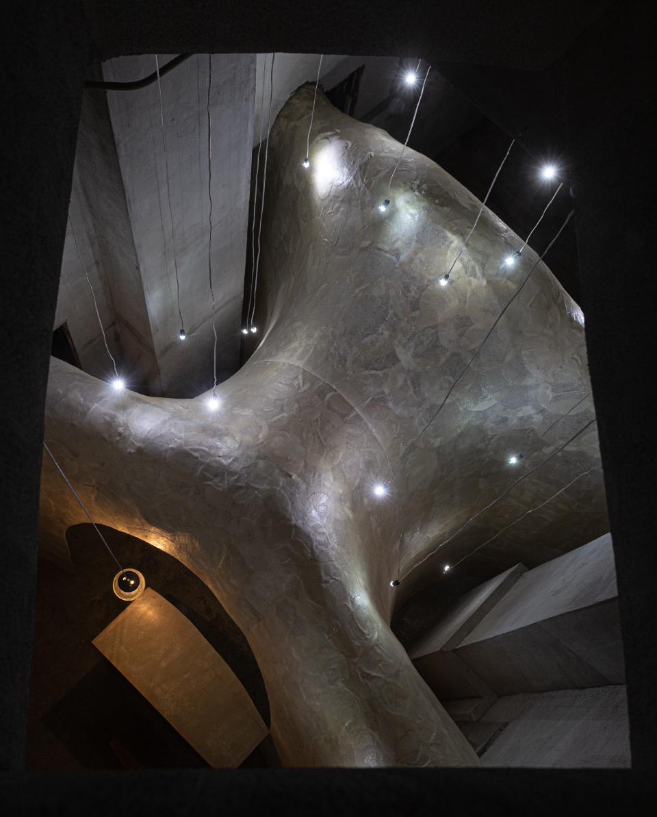 himuro gallery and residence by taku sakaushi and ofda