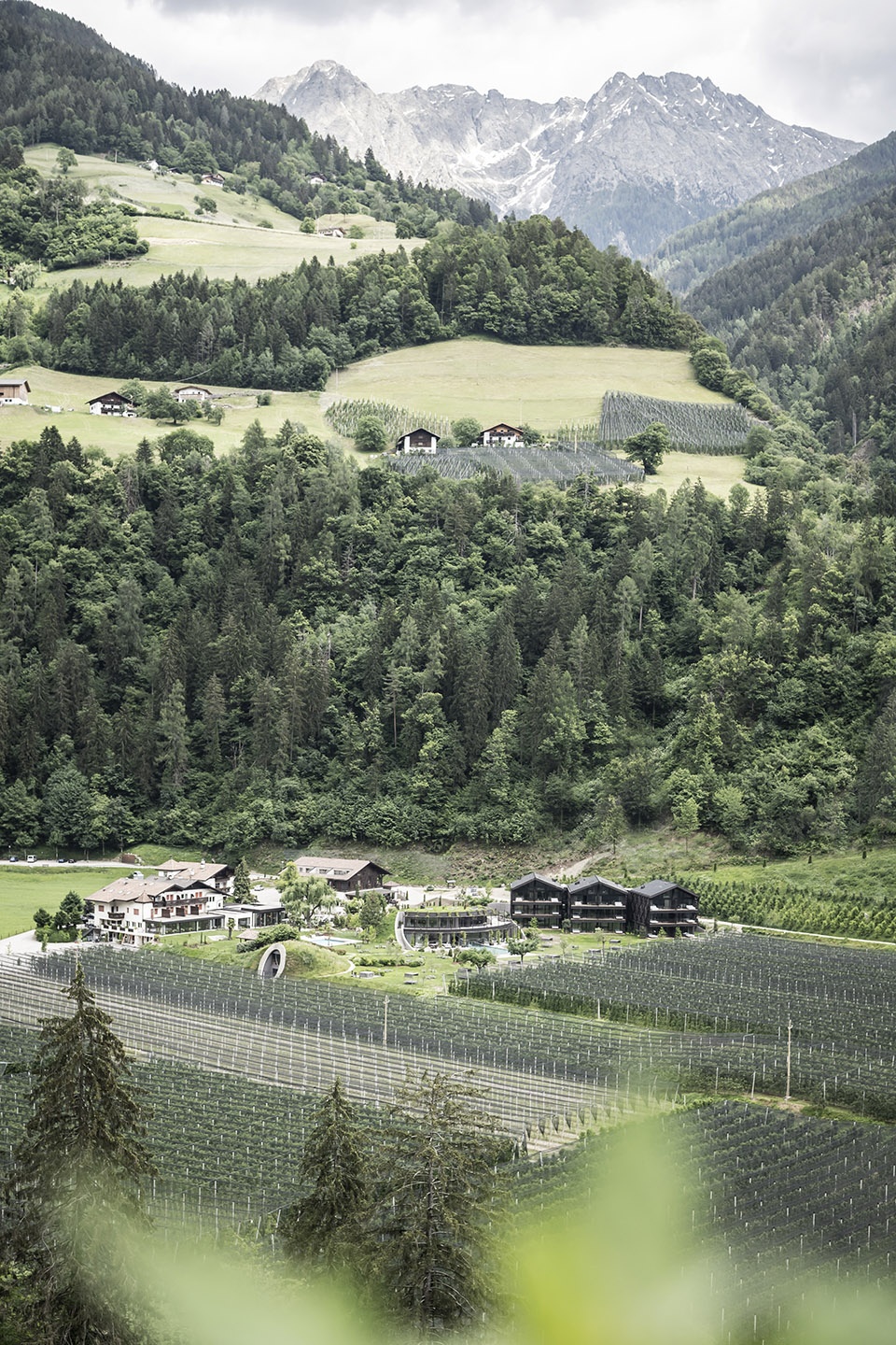 apfelhotel torgglerhof by noa
